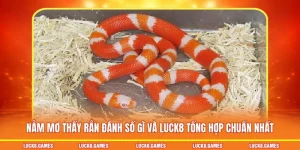 nằm mơ thấy rắn đánh số gì